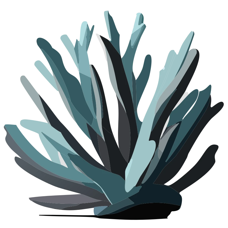 iconacorallo